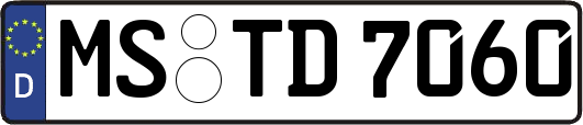 MS-TD7060