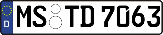 MS-TD7063