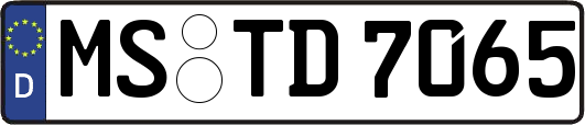 MS-TD7065