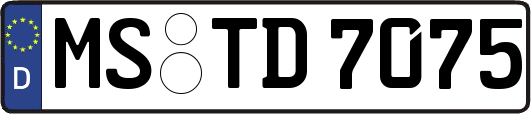 MS-TD7075