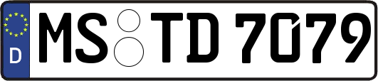 MS-TD7079