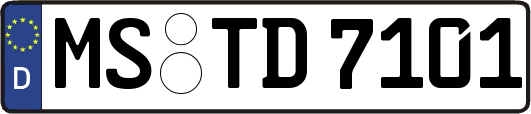 MS-TD7101
