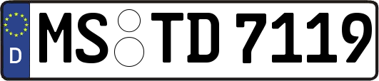 MS-TD7119