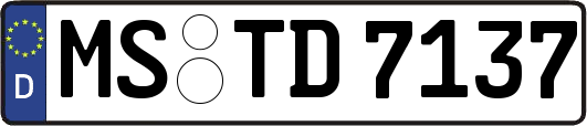 MS-TD7137