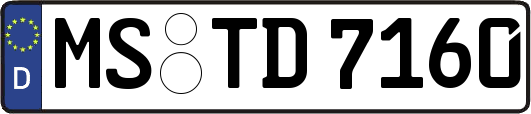 MS-TD7160