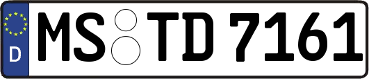 MS-TD7161