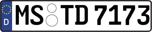 MS-TD7173