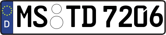 MS-TD7206