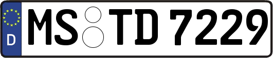 MS-TD7229