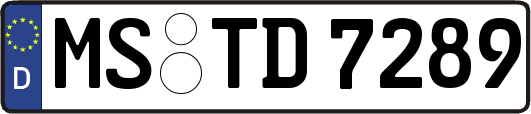 MS-TD7289