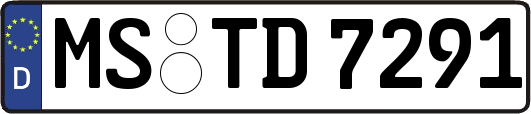 MS-TD7291