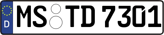 MS-TD7301