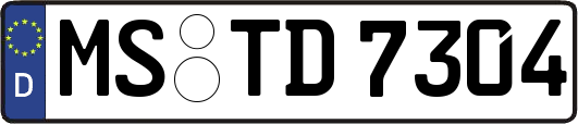 MS-TD7304