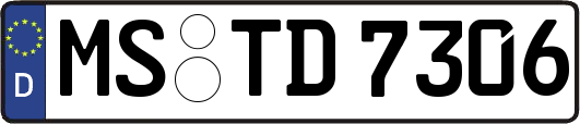 MS-TD7306