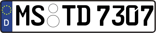MS-TD7307