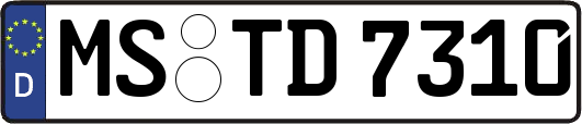 MS-TD7310