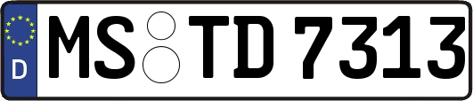 MS-TD7313