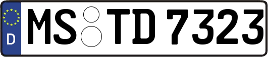 MS-TD7323