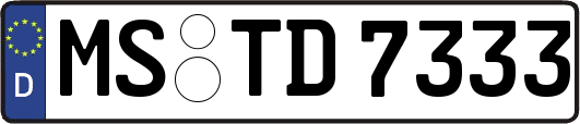 MS-TD7333