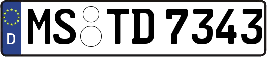 MS-TD7343