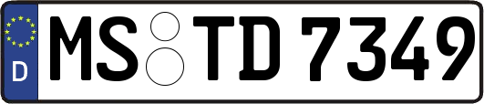 MS-TD7349