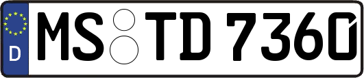 MS-TD7360