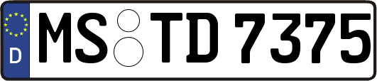 MS-TD7375