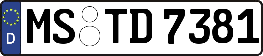 MS-TD7381