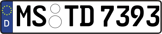 MS-TD7393