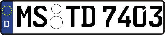 MS-TD7403