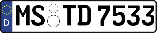MS-TD7533