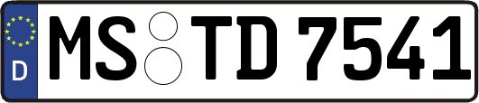 MS-TD7541