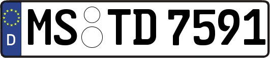 MS-TD7591