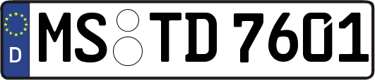 MS-TD7601