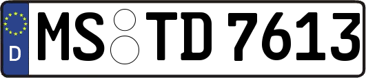 MS-TD7613