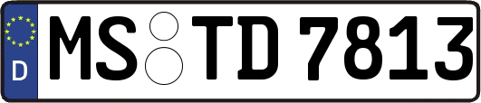 MS-TD7813