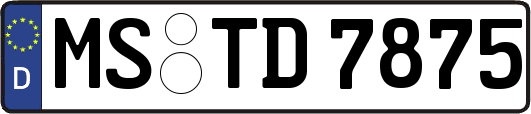 MS-TD7875
