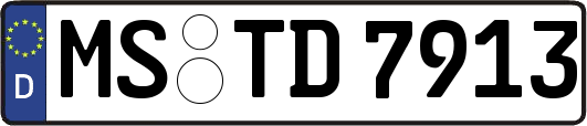 MS-TD7913