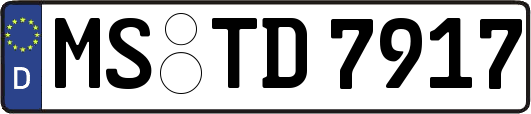 MS-TD7917