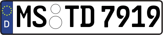 MS-TD7919