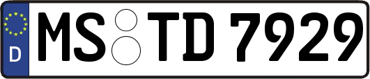 MS-TD7929