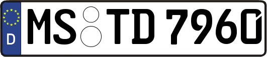 MS-TD7960