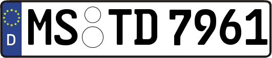 MS-TD7961