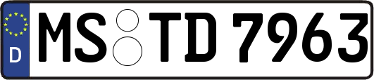 MS-TD7963