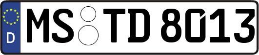 MS-TD8013