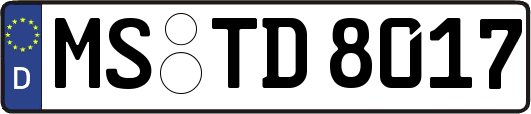 MS-TD8017