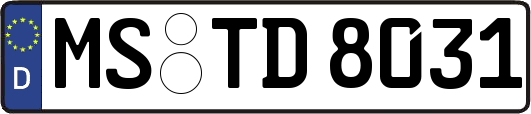 MS-TD8031