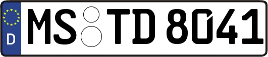 MS-TD8041