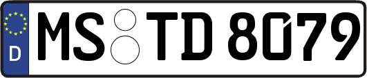 MS-TD8079