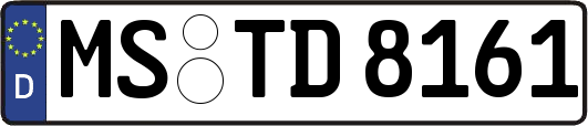 MS-TD8161